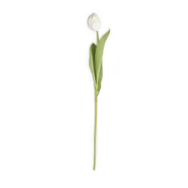 26.75 Inch White Silk w/Real Touch Single Tulip Stem