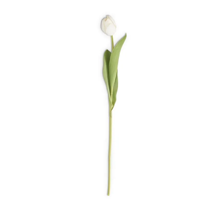 26.75 Inch White Silk w/Real Touch Single Tulip Stem