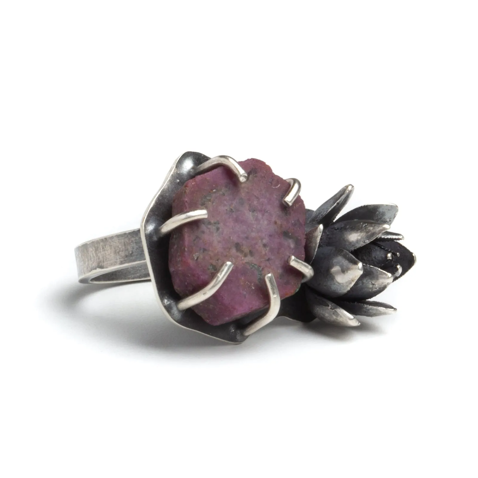 April Ottey - Flower Power-Ruby and Succulent