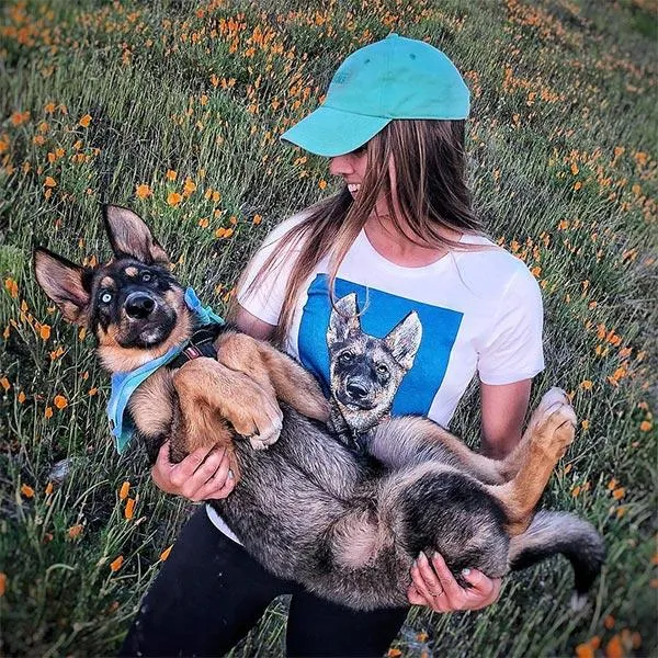 Original Pet Pop Art Women's Crew