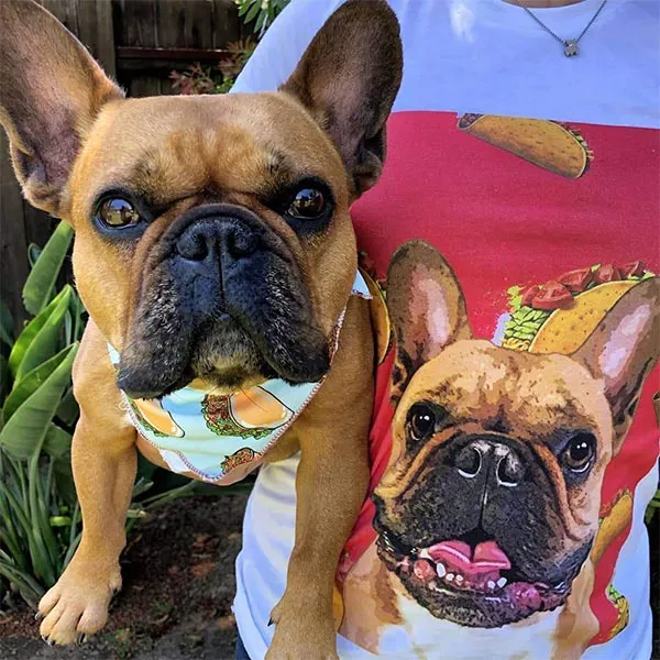 Original Pet Pop Art Women's Crew