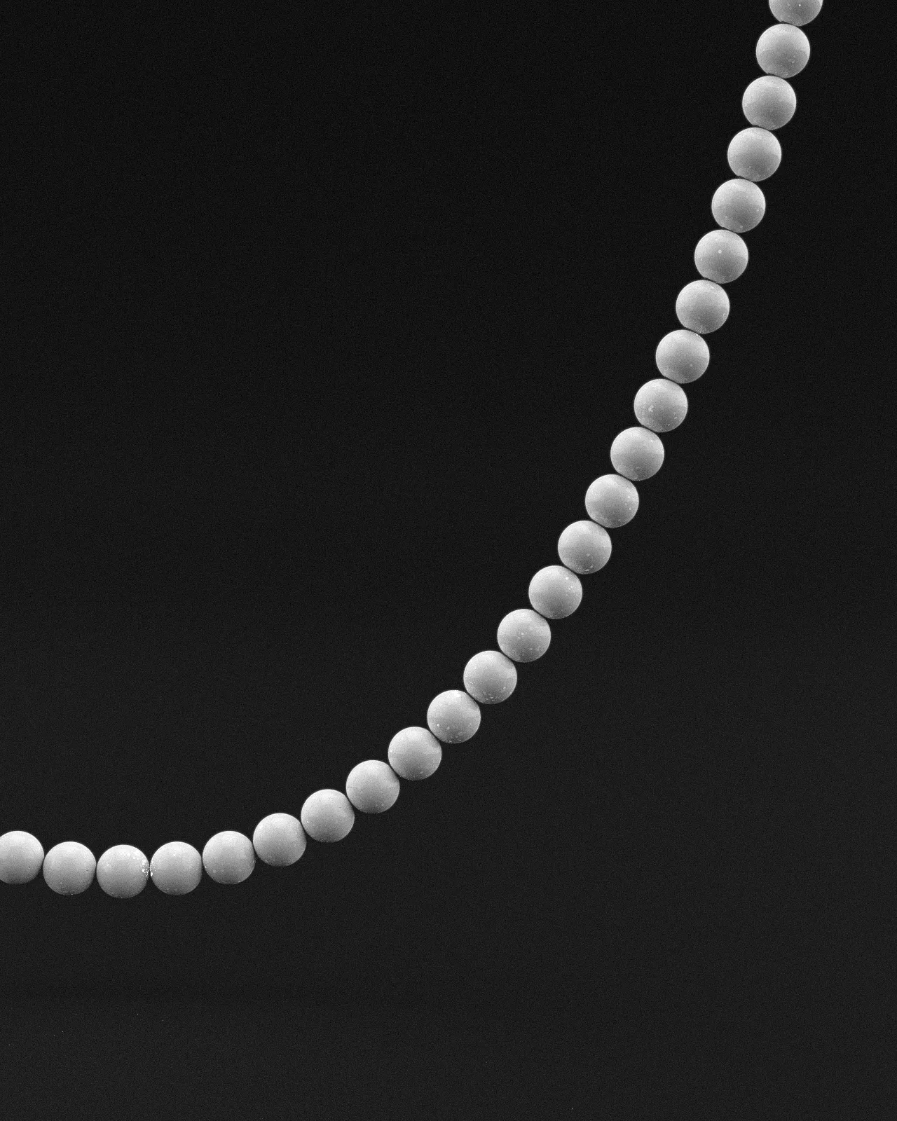 Tridacna Necklace 6mm | Vertex